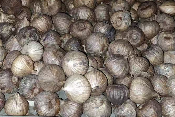 黑蒜 / 黒にんにく/ Black Garlic