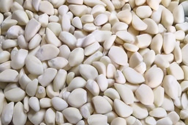 冷冻蒜米 / 冷凍ニンニク米です / Frozen Garlic Chips